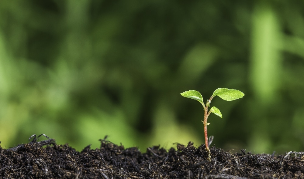 Investments in Basel start-ups on the rise